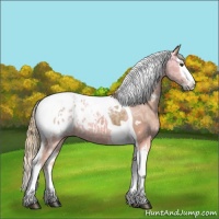 Horse Color:White Spotted Chestnut Ice Splash Tobiano Appaloosa 