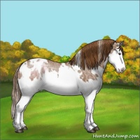 Horse Color:White Spotted Chestnut Ice Splash Blanket 