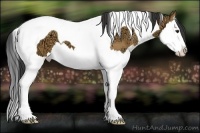 Horse Color:Bay Ice Dun Splash Tobiano