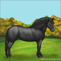 Horse Color:Black Sabino Varnish 