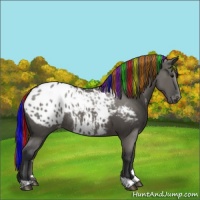 Horse Color:Painted Grullo Appaloosa Rabicano