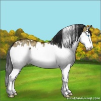 Horse Color:White Spotted Bay Ice Dun Splash