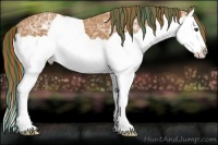 Horse Color:Painted Chestnut Ice Splash Varnish 