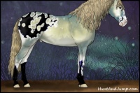 Horse Color:Watercolor Chocolate Palomino Onyx Sabino Appaloosa 