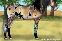 Horse Color:White Spotted Buckskin Onyx 