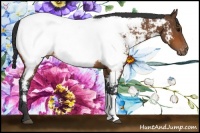 Horse Color:Bay Near Fewspot Rabicano 