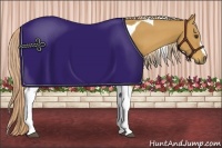 Horse Color:Palomino Tobiano