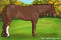 Horse Color:Chestnut Frame