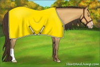 Horse Color:Amber Champagne