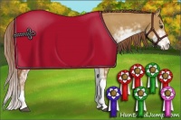 Horse Color:Red Dun Sabino