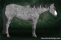Horse Color:Black Ice 