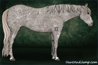 Horse Color:Silver Black Ice 