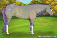 Horse Color:Watercolor Brown Dun Appaloosa  and Watercolor Brown 