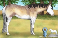 Horse Color:Bay Ice Onyx Splash