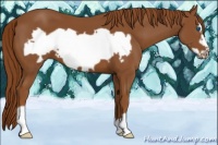 Horse Color:Chestnut Frame 