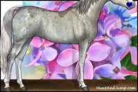 Horse Color:White Spotted Chocolate Silver Smoky Grullo Chinchilla Ice