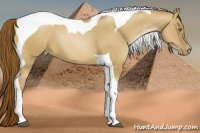 Horse Color:Liver Red Dun Pearl Tobiano 