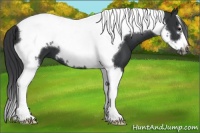 Horse Color:Black Tobiano Frame