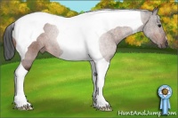 Horse Color:Bay Tobiano 