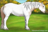 Horse Color:Red Dun Tobiano Frame