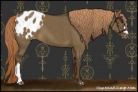 Horse Color:Liver Red Dun Blanket Brindle 