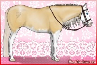Horse Color:Silver Classic Champagne Dun Splash Appaloosa 