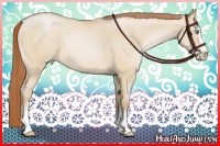 Horse Color:Smoky Grullo Pearl Sabino
