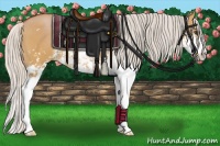 Horse Color:Silver Bay Dun Sabino 