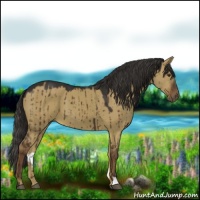 Horse Color:Liver Red Dun Brindle 