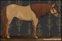 Horse Color:Red Dun Brindle 