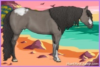 Horse Color:Grullo Appaloosa Brindle 