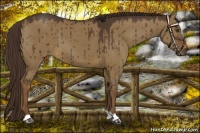 Horse Color:Liver Red Dun 