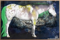 Horse Color:Painted Silver Buckskin Chinchilla Onyx Splash Appaloosa Rabicano