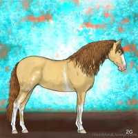 Horse Color:White Spotted Gold Champagne Dun 