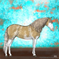 Horse Color:White Spotted Chocolate Palomino Dun Splash