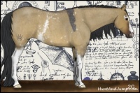 Horse Color:White Spotted Brown Roan Dun 