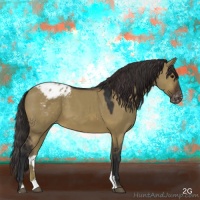 Horse Color:Brown Dun Sabino Appaloosa 