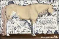 Horse Color:Palomino Dun Sabino