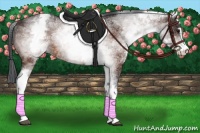 Horse Color:White Spotted Brown Sabino Rabicano 