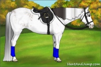 Horse Color:Bay Sabino Splash Appaloosa