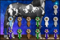 Horse Color:White Spotted Black
