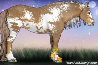 Horse Color:White Spotted Chocolate Palomino Sabino