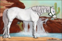 Horse Color:White Spotted Chocolate Palomino Roan Dun Splash