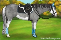 Horse Color:Smoky Blue Roan Splash
