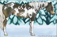 Horse Color:White Spotted Liver Chestnut Mushroom 