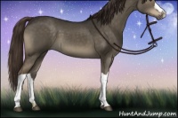 Horse Color:Liver Red Dun Brindle