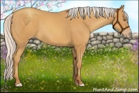 Horse Color:Silver Amber Champagne
