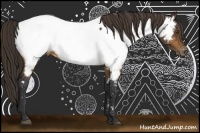 Horse Color:Buckskin Near Fewspot 