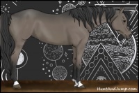 Horse Color:Smoky Grullo 