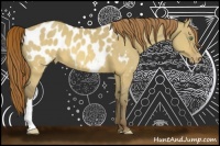 Horse Color:Sable Cream Champagne Dun Near Leopard 